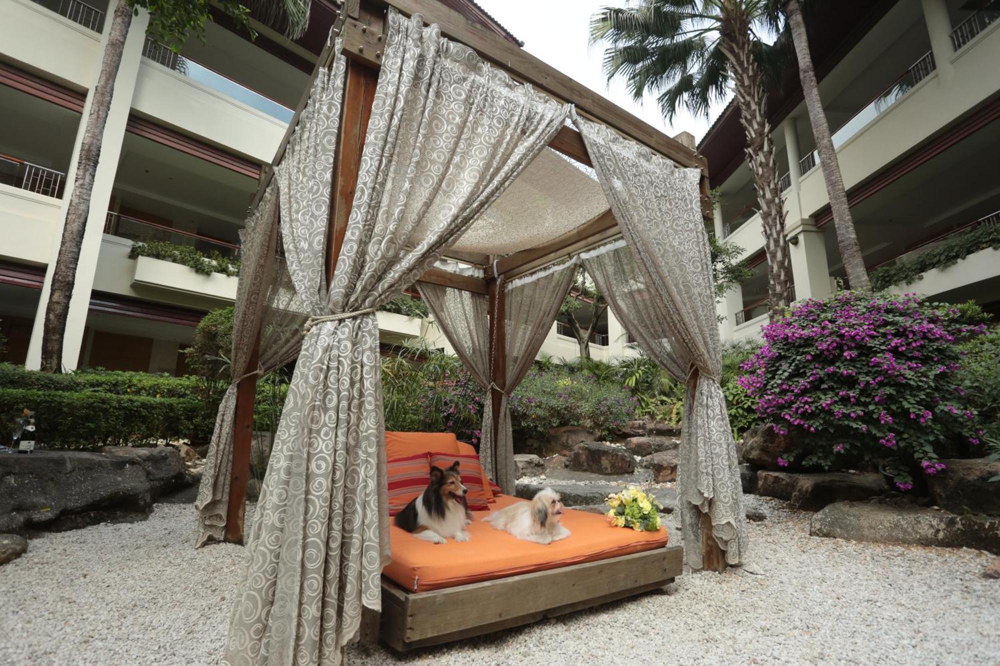 Mission Hills Hotel Resorts Sencsen Kültér fotó